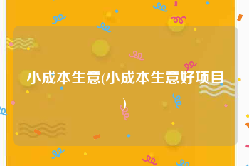 小成本生意(小成本生意好项目)