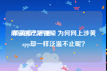 麻豆国产短视频
:禁黄那么严重，为何网上涉黄app却一样泛滥不止呢？