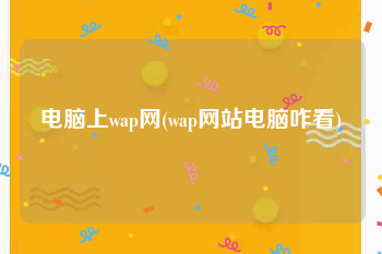 电脑上wap网(wap网站电脑咋看)