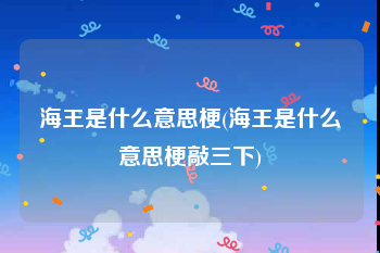 海王是什么意思梗(海王是什么意思梗敲三下)