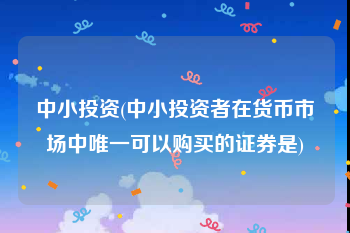 中小投资(中小投资者在货币市场中唯一可以购买的证券是)