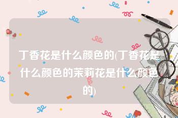 丁香花是什么颜色的(丁香花是什么颜色的茉莉花是什么颜色的)