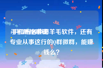 手机群控赚钱
:手机有各种薅羊毛软件，还有专业从事这行的Q群微群，能赚钱么？