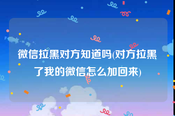 微信拉黑对方知道吗(对方拉黑了我的微信怎么加回来)