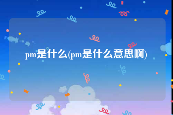 pm是什么(pm是什么意思啊)