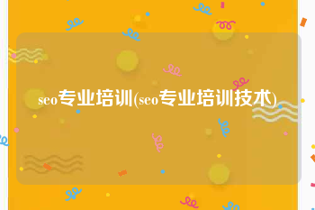 seo专业培训(seo专业培训技术)