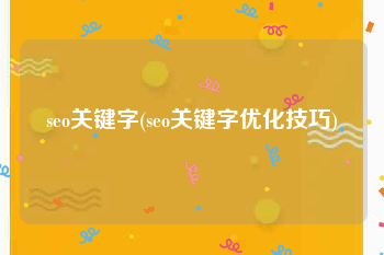 seo关键字(seo关键字优化技巧)