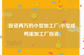 投资两万的小型加工厂(小型咸鸭蛋加工厂投资)