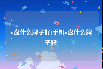 u盘什么牌子好(手机u盘什么牌子好)