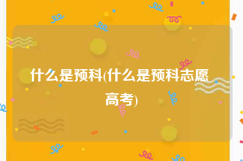 什么是预科(什么是预科志愿 高考)