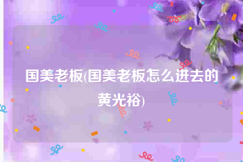 国美老板(国美老板怎么进去的黄光裕)