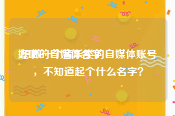 好听的自媒体名字:想做一个音乐类的自媒体账号，不知道起个什么名字？