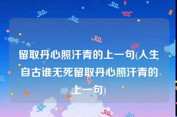 留取丹心照汗青的上一句(人生自古谁无死留取丹心照汗青的上一句)