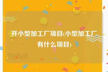 开小型加工厂项目(小型加工厂有什么项目)