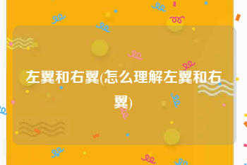 左翼和右翼(怎么理解左翼和右翼)