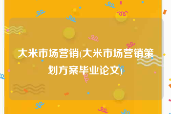 大米市场营销(大米市场营销策划方案毕业论文)