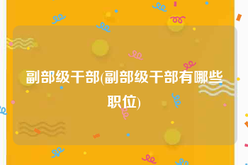 副部级干部(副部级干部有哪些职位)
