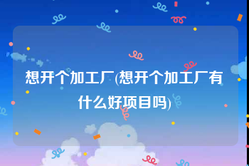 想开个加工厂(想开个加工厂有什么好项目吗)