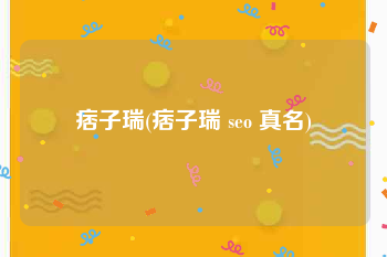 痞子瑞(痞子瑞 seo 真名)