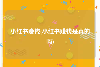 小红书赚钱(小红书赚钱是真的吗)