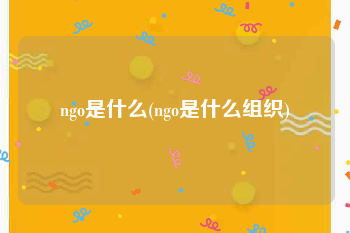 ngo是什么(ngo是什么组织)
