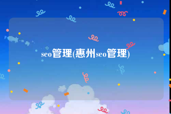 seo管理(惠州seo管理)