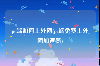 pc端如何上外网(pc端免费上外网加速器)