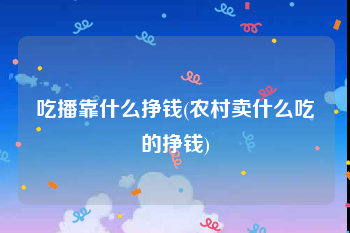 吃播靠什么挣钱(农村卖什么吃的挣钱)