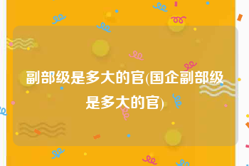 副部级是多大的官(国企副部级是多大的官)