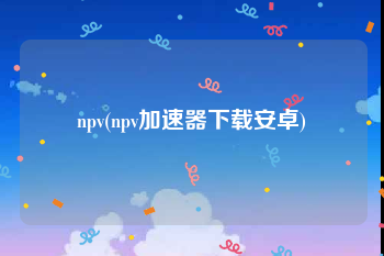 npv(npv加速器下载安卓)
