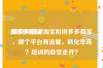 拼多多培训:请教同时做淘宝和拼多多商家，哪个平台有流量，转化率高？培训的自觉走开？