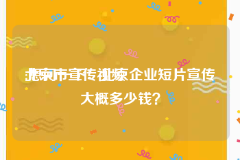 北京市宣传视频
:想问一下：北京企业短片宣传大概多少钱？