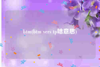 btm(btm vers tp啥意思)