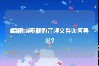 蜻蜓fm电脑版:蜻蜓FM下载的音频文件如何导出？