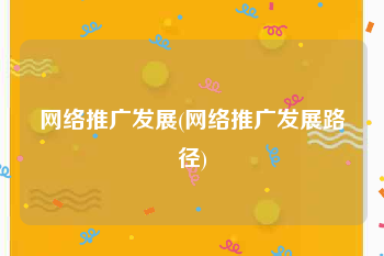 网络推广发展(网络推广发展路径)