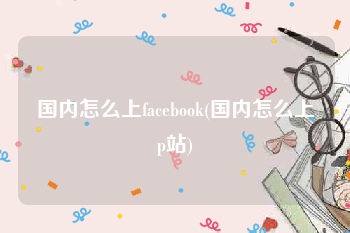 国内怎么上facebook(国内怎么上p站)