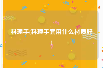 料理手(料理手套用什么材质好)