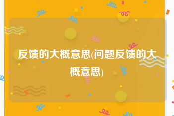 反馈的大概意思(问题反馈的大概意思)