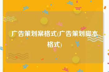 广告策划案格式(广告策划脚本格式)