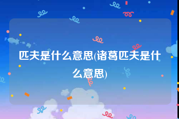 匹夫是什么意思(诸葛匹夫是什么意思)