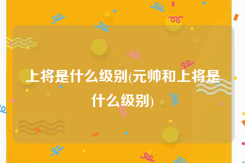 上将是什么级别(元帅和上将是什么级别)