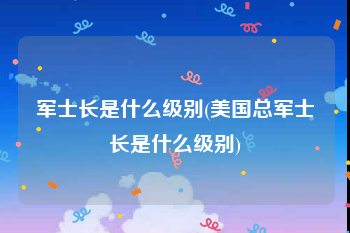 军士长是什么级别(美国总军士长是什么级别)