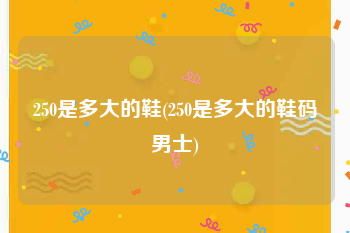 250是多大的鞋(250是多大的鞋码男士)