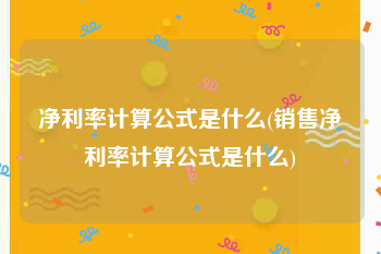净利率计算公式是什么(销售净利率计算公式是什么)