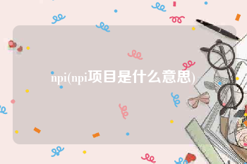 npi(npi项目是什么意思)