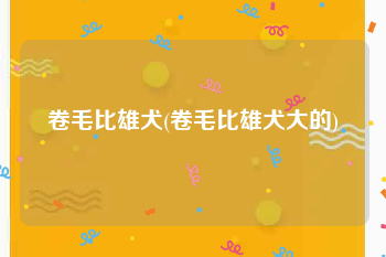 卷毛比雄犬(卷毛比雄犬大的)