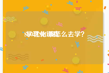 SEO优化课程
:学习SEO该怎么去学?