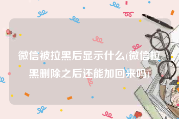 微信被拉黑后显示什么(微信拉黑删除之后还能加回来吗)