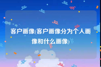 客户画像(客户画像分为个人画像和什么画像)