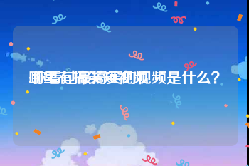 哪里有搞笑短视频
:你看过最搞笑的视频是什么？